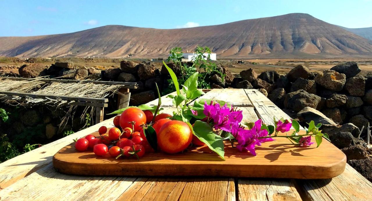 Glamping Corner - Back To Nature La Oliva Dış mekan fotoğraf